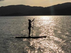 woman paddling boarding at sunset